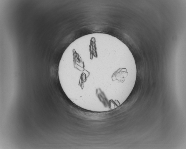 X0000111170044200907291132