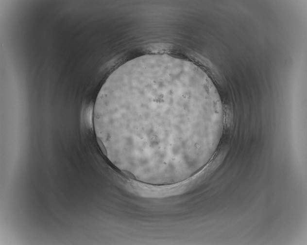 X0000111170047200907291132