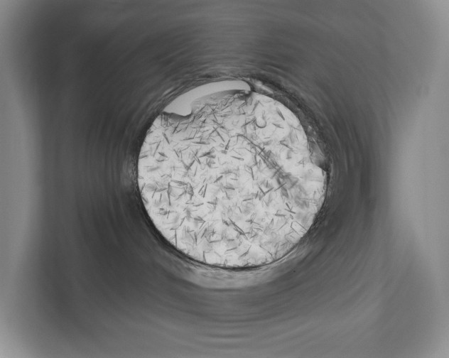 X0000111170048200907291132