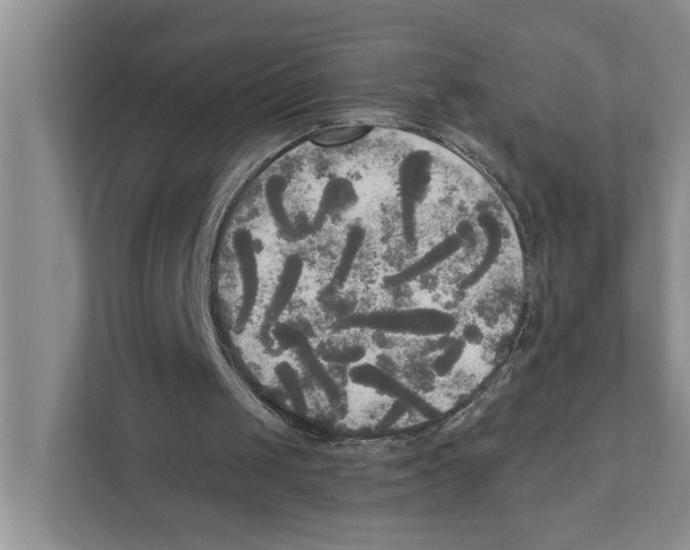 X0000111170049200907291131