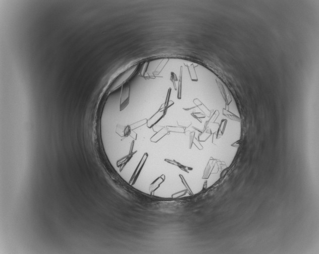 X0000111170050200907291131