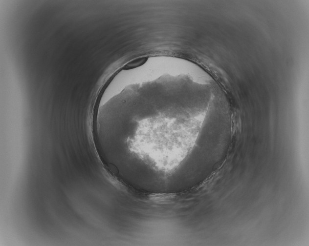 X0000111170051200907291131