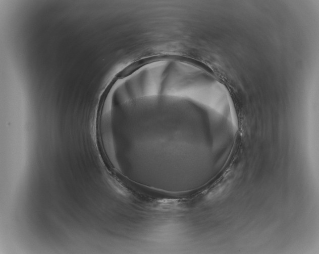 X0000111170052200907291131