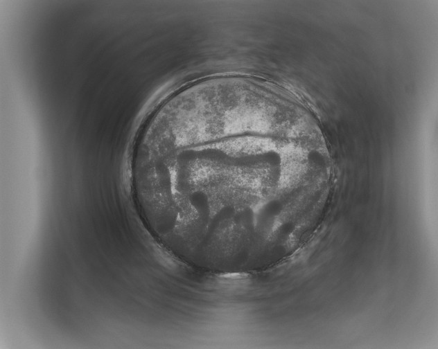 X0000111170053200907291131