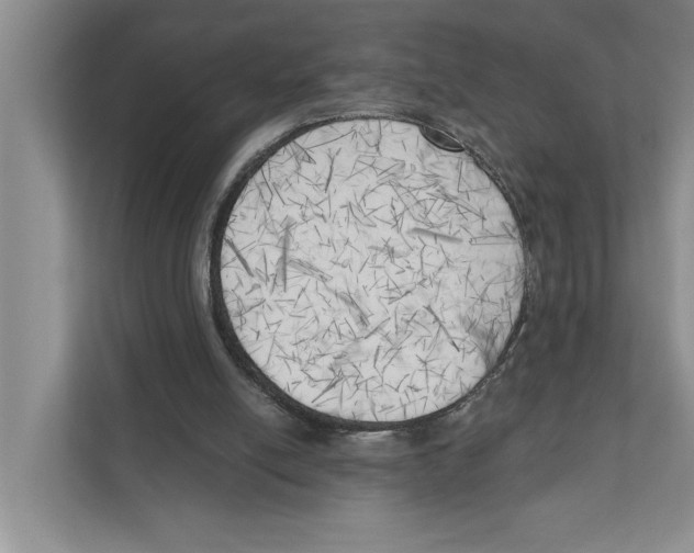 X0000111170054200907291131