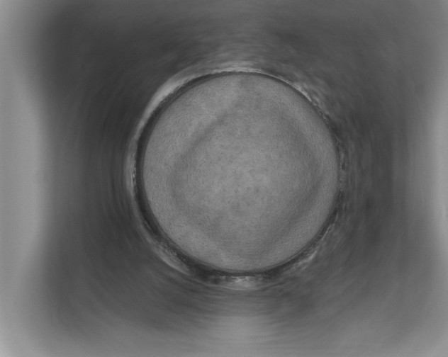 X0000111170056200907291131