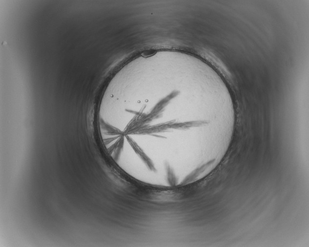 X0000111170058200907291131