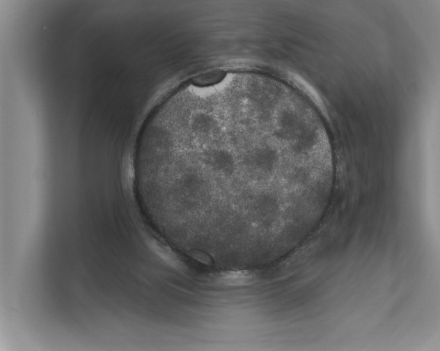 X0000111170059200907291131