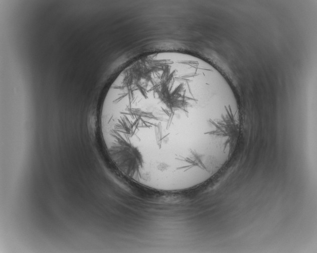 X0000111170063200907291131