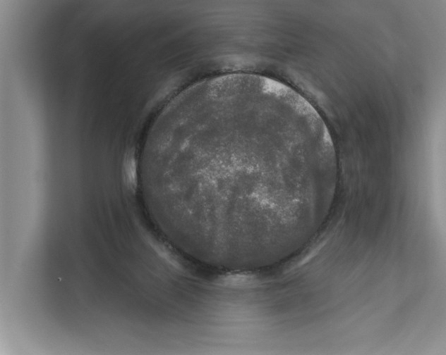 X0000111170067200907291131