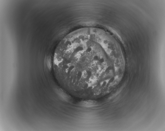 X0000111170069200907291131