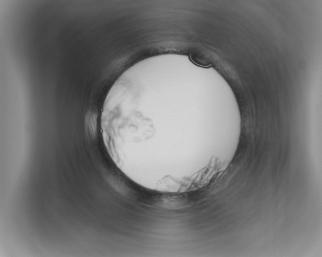 X0000111170070200907291131
