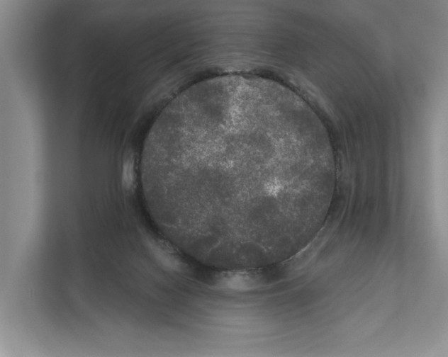 X0000111170074200907291132