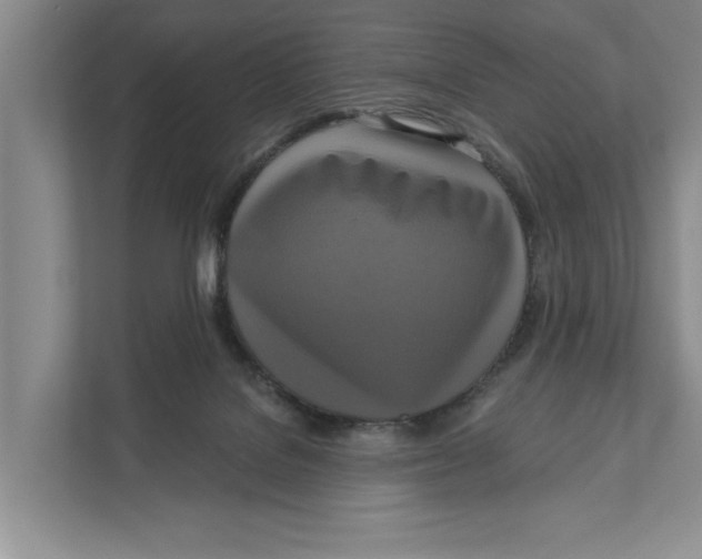 X0000111170076200907291132