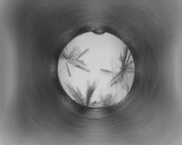 X0000111170082200907291132