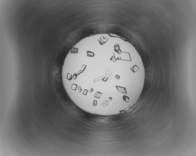 X0000111170086200907291132