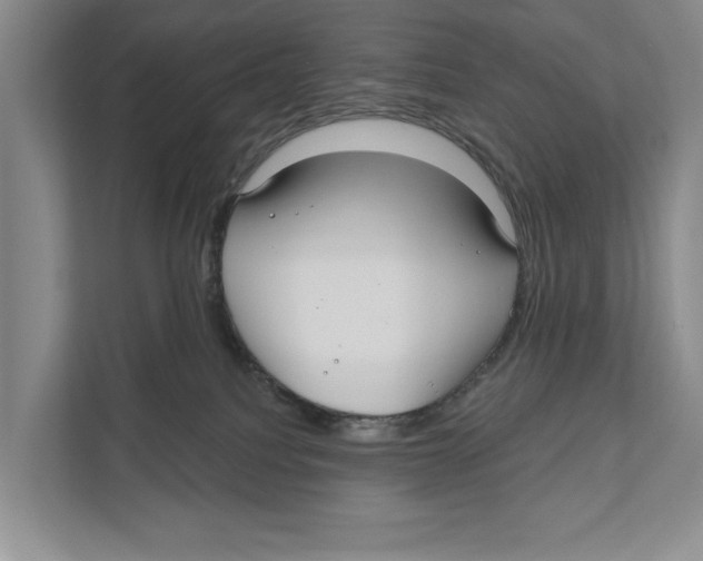 X0000111170088200907291132