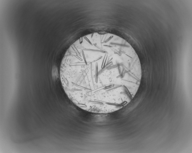 X0000111170089200907291132