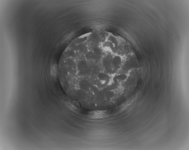 X0000111170093200907291132