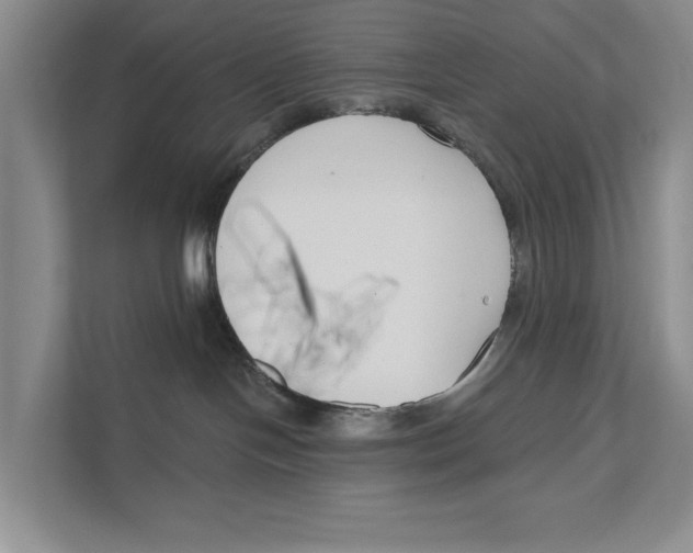 X0000111170094200907291132