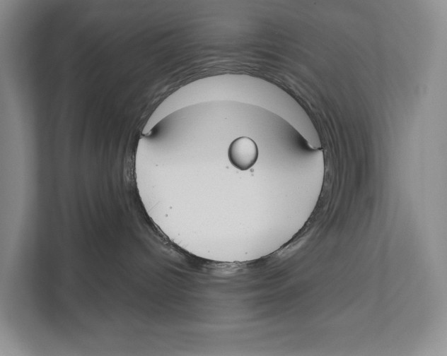 X0000111170096200907291132