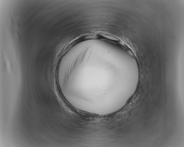 X0000111170097200907291131