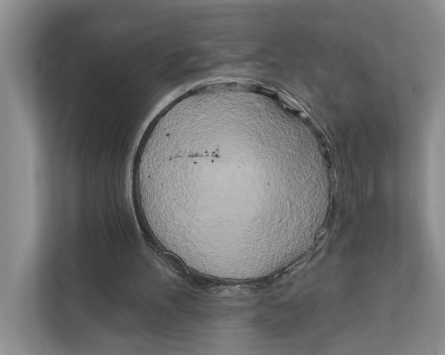 X0000111170100200907291131