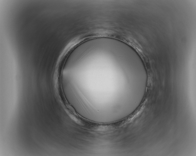 X0000111170101200907291131