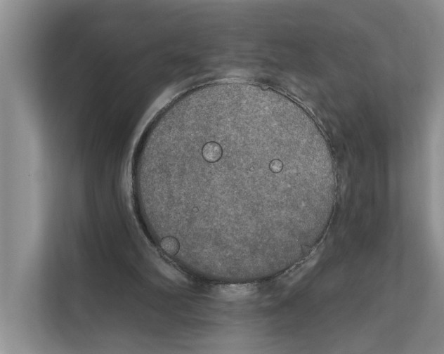 X0000111170102200907291131