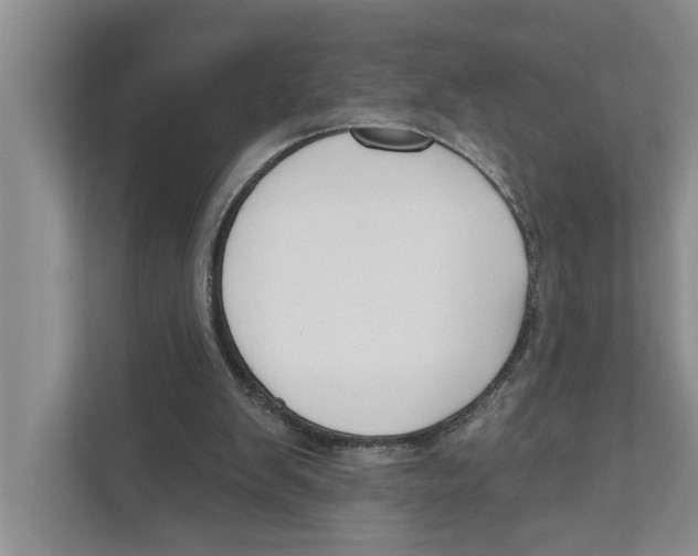 X0000111170103200907291131