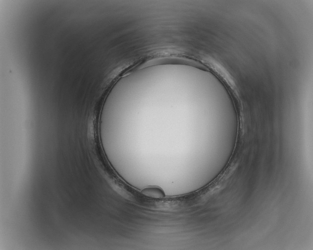 X0000111170105200907291131