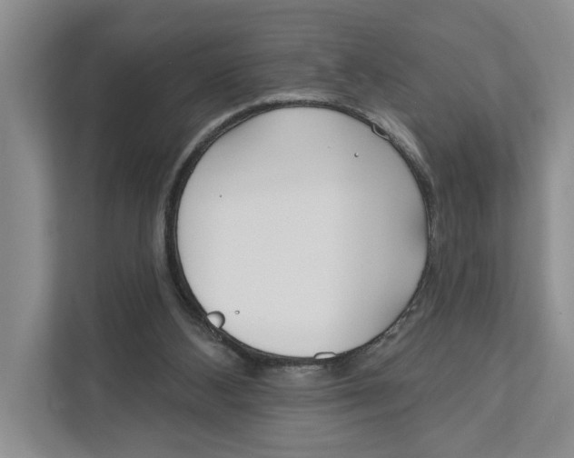 X0000111170108200907291131