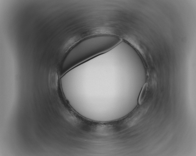 X0000111170109200907291131