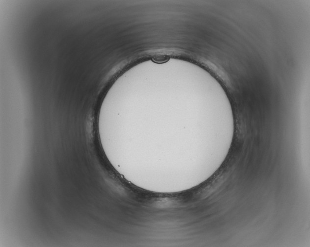 X0000111170111200907291131