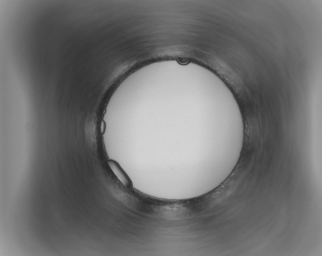 X0000111170112200907291131