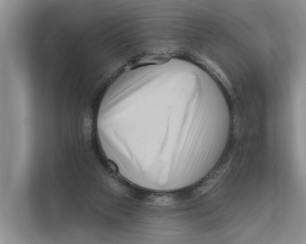 X0000111170113200907291131