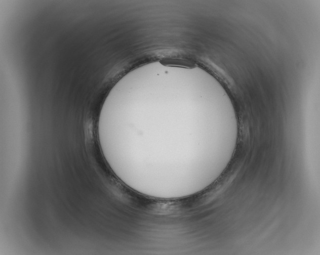 X0000111170117200907291131