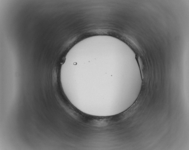 X0000111170120200907291131