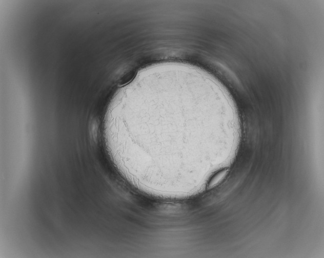 X0000111170123200907291131