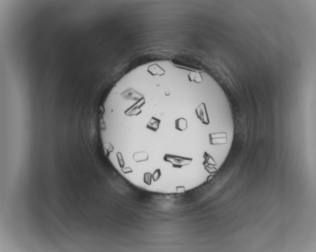 X0000111170131200907291131