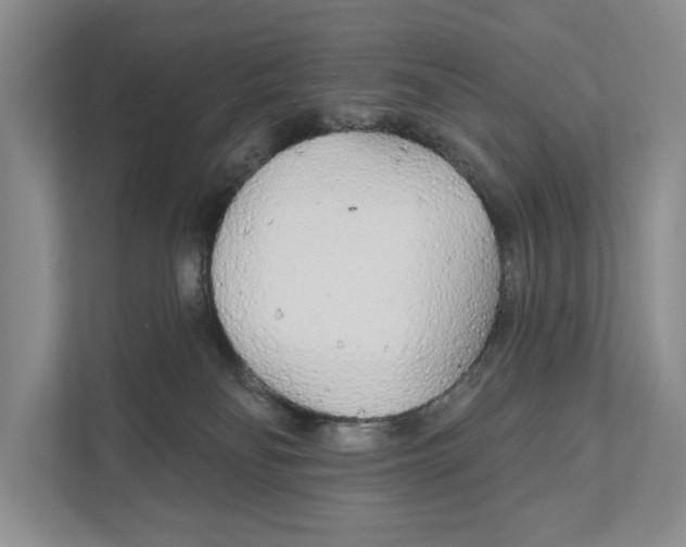 X0000111170134200907291131