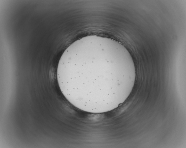 X0000111170135200907291131