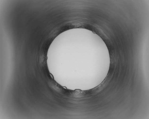 X0000111170136200907291131