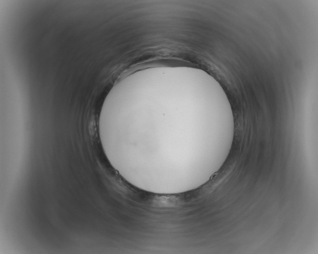 X0000111170137200907291131