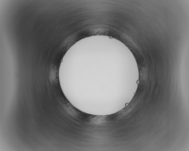 X0000111170138200907291131