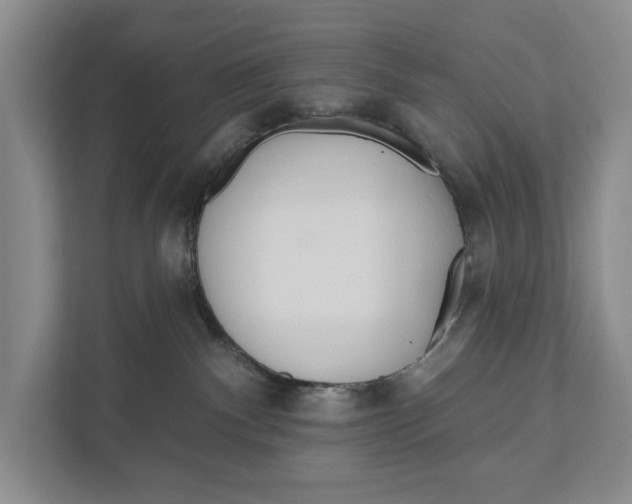 X0000111170140200907291131