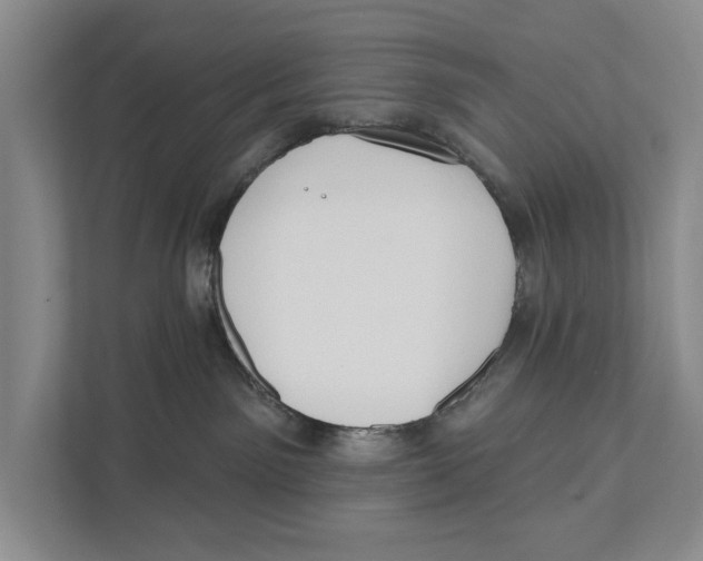 X0000111170141200907291131