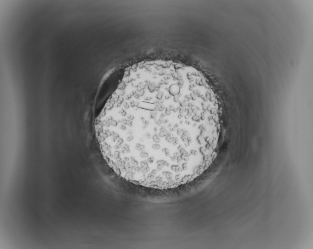 X0000111170144200907291131