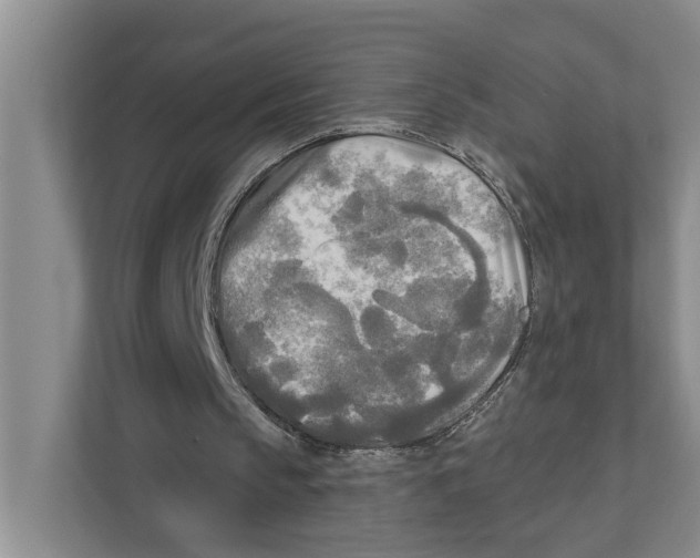 X0000111170145200907291130