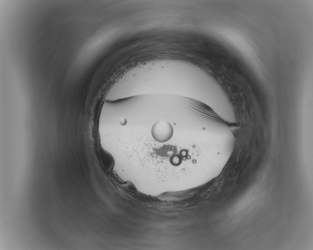 X0000111170146200907291130